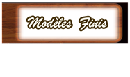 Modèles finis