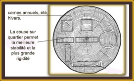 Coupes de bois su r quartier